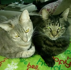 Meet your Posher, Diane